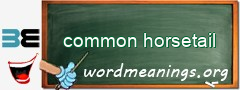 WordMeaning blackboard for common horsetail